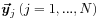 \mbox{\boldmath$\vec{y}$\unboldmath}_{j}\,(j=1,...,N)