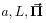 a,L,\mbox{\boldmath$\vec{\Pi}$\unboldmath}