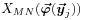 X_{{MN}}(\mbox{\boldmath$\vec{\varphi}$\unboldmath}(\mbox{\boldmath$\vec{y}$\unboldmath}_{j}))