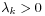 \lambda _{k}>0